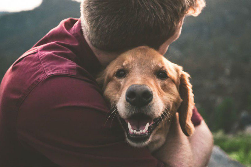 4 free & easy ways to promote your dog-friendly property